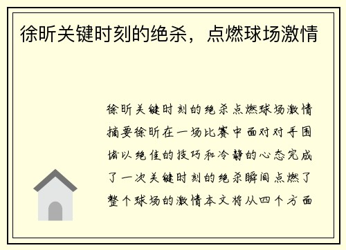 徐昕关键时刻的绝杀，点燃球场激情